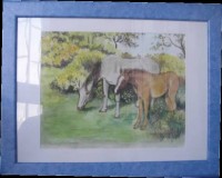 /album/galerie-de-tableaux-aquarelles/jument-et-poulain-dans-la-nature-jpg/